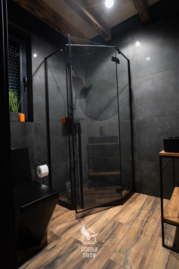Stodola Orlow 400 M Od Wyciagu Gromadzyn Apartment