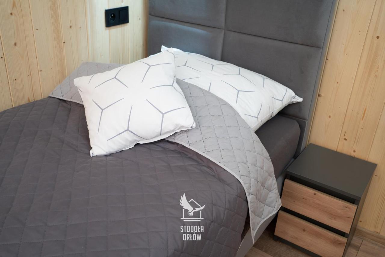 Stodola Orlow 400 M Od Wyciagu Gromadzyn Apartment *