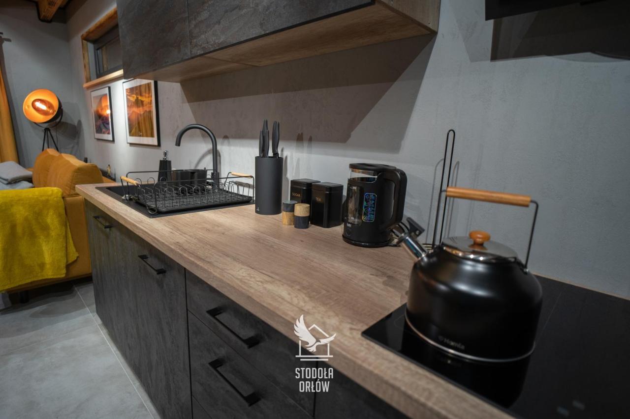 Apartment Stodola Orlow 400 M Od Wyciagu Gromadzyn Ustrzyki Dolne