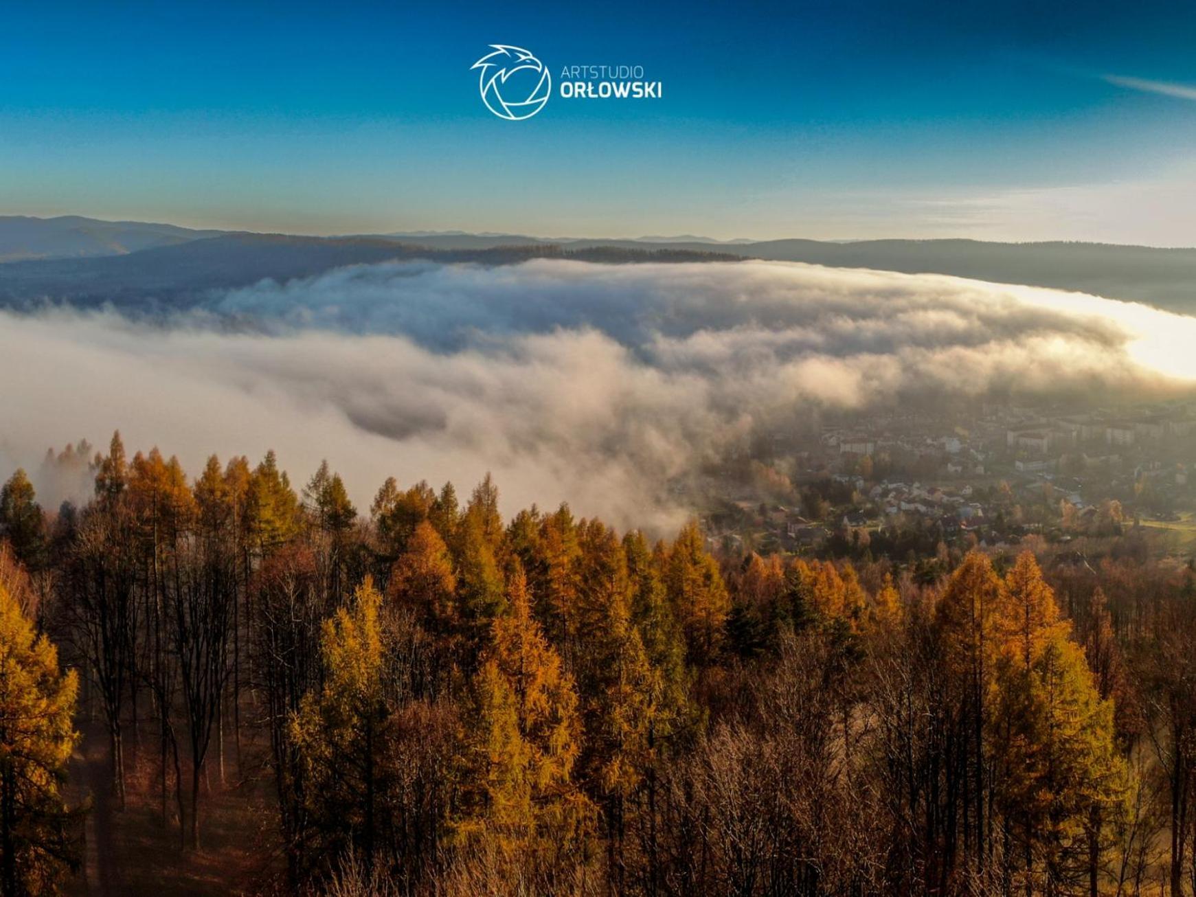 Apartment Stodola Orlow 400 M Od Wyciagu Gromadzyn